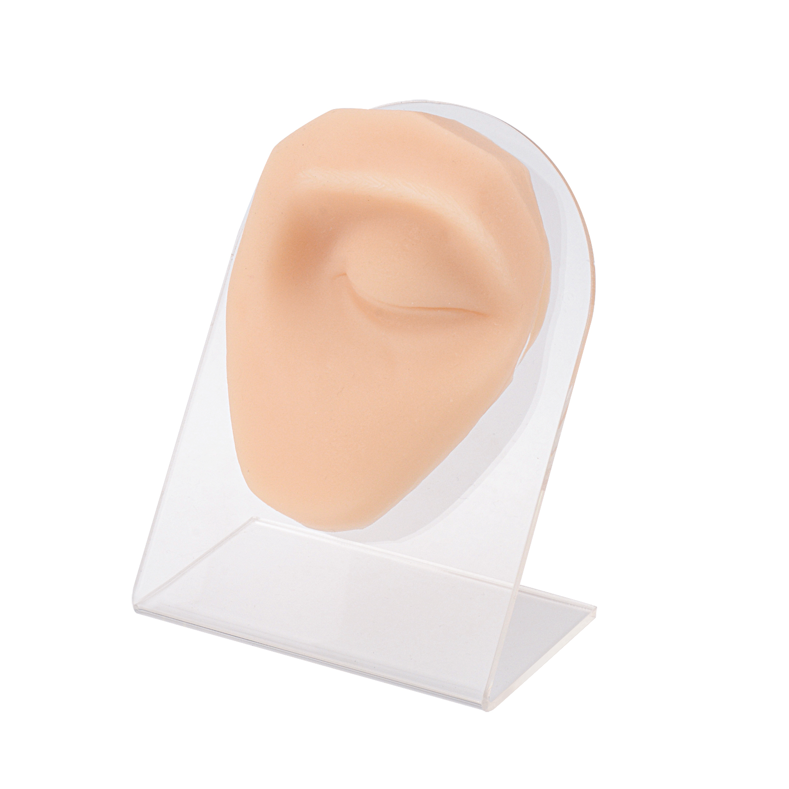 SimCoach Soft Silicone Piercing Model with Acrylic Stand, Piercing Practice  Body Parts – SimCoach